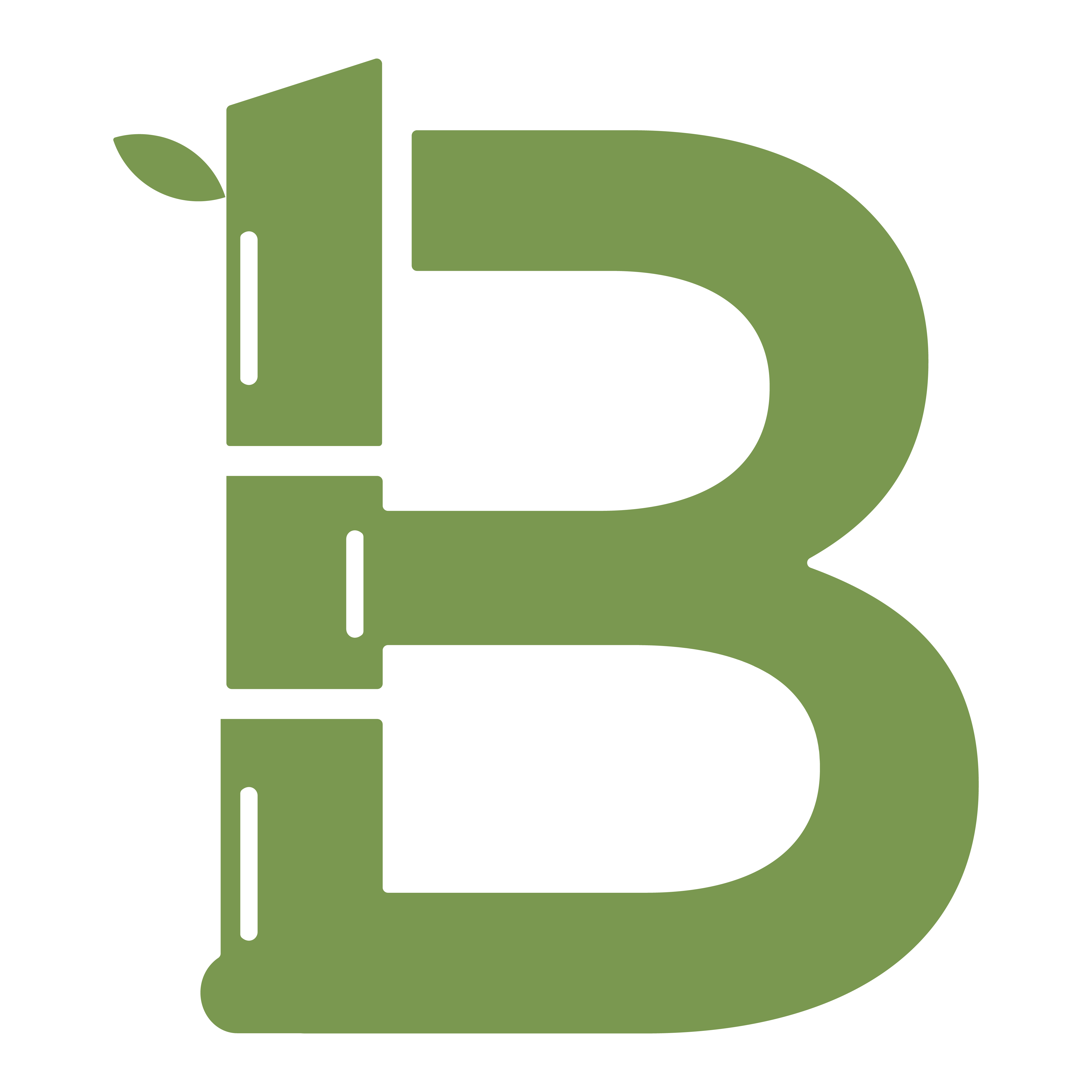 BamBook